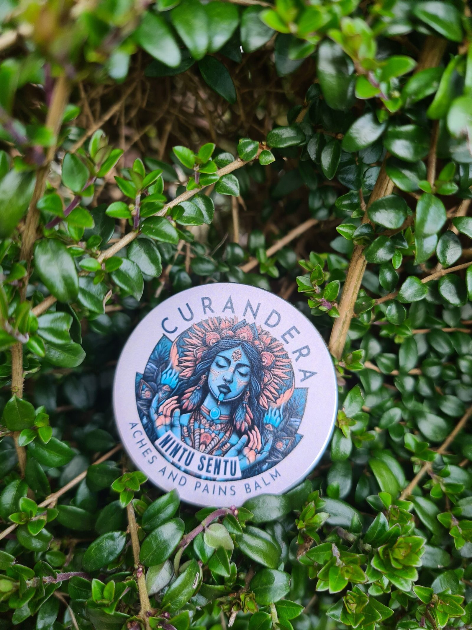 CBD Aches and Pain Healing Balm